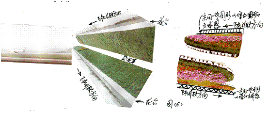 图片6